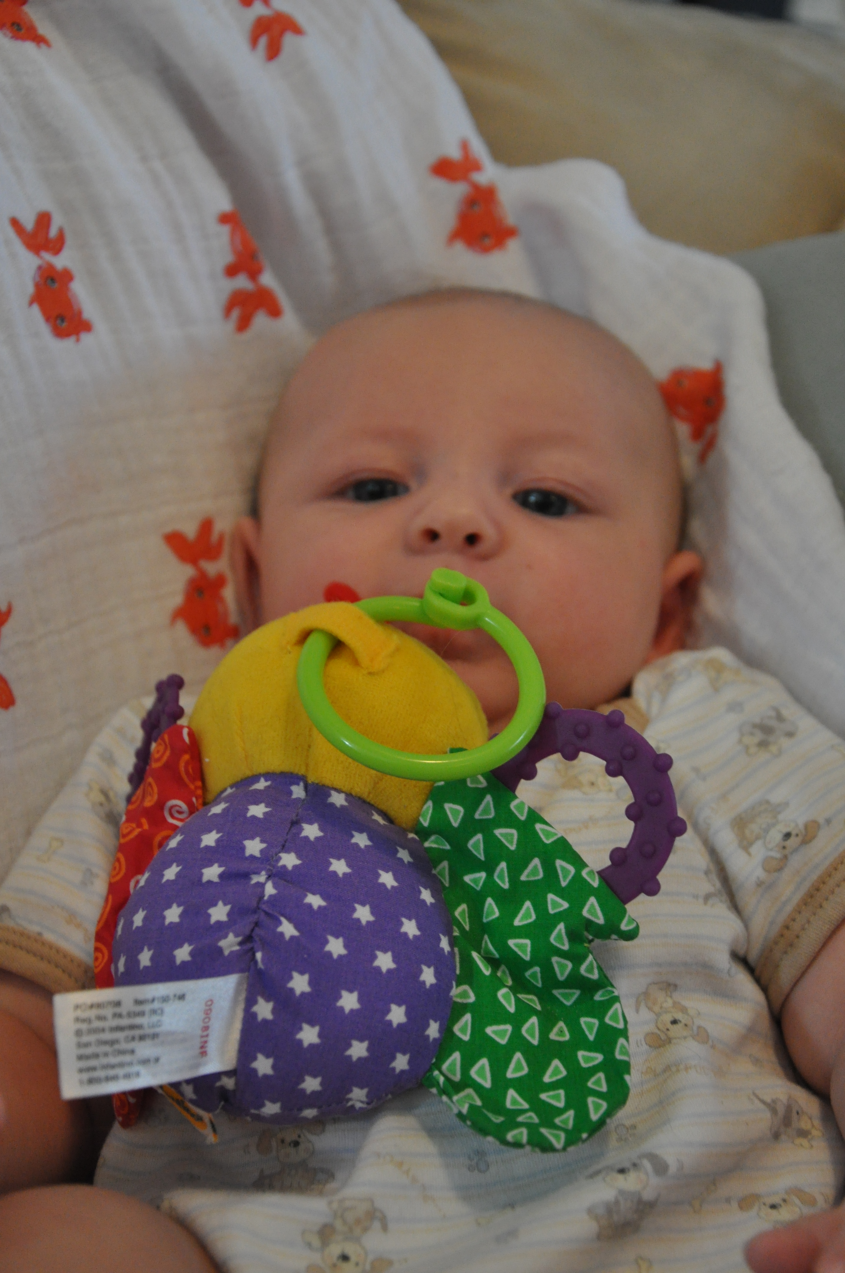 William's Eleventh Week 23.jpg